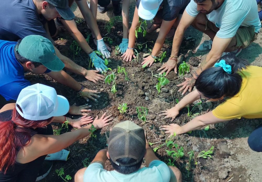 Taller de Huerta Inicial