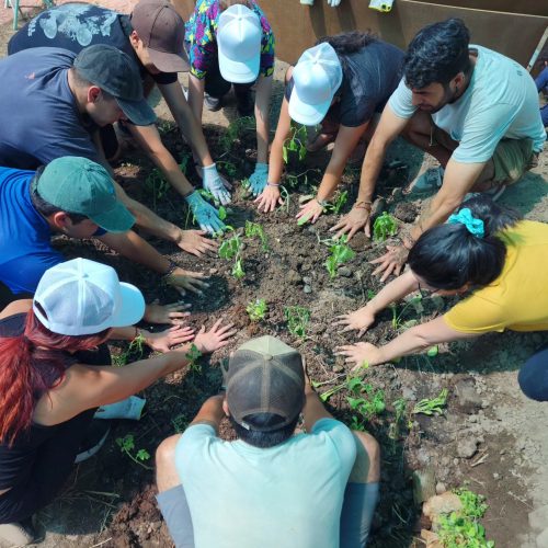 Taller de Huerta Inicial